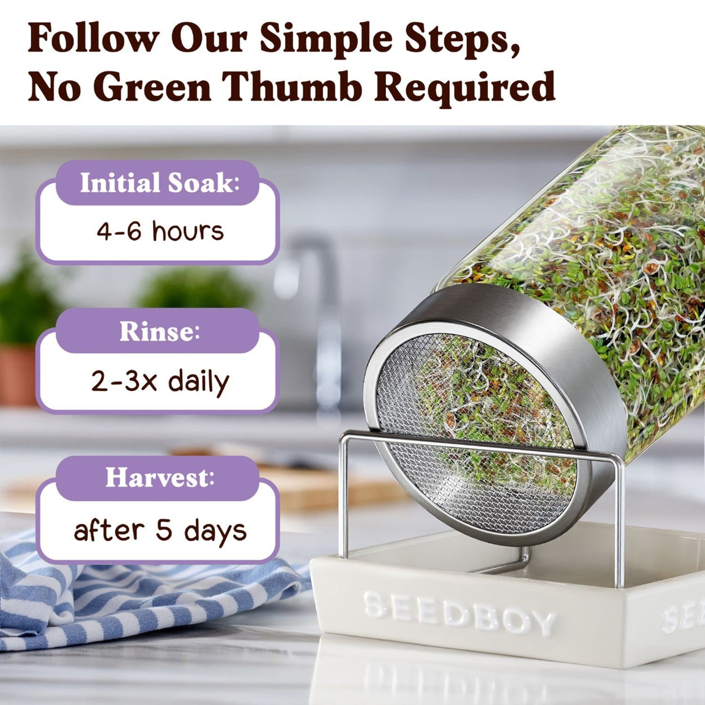 Alfalfa Sprouting Seeds, Organic & Non-GMO – 8 oz Bag