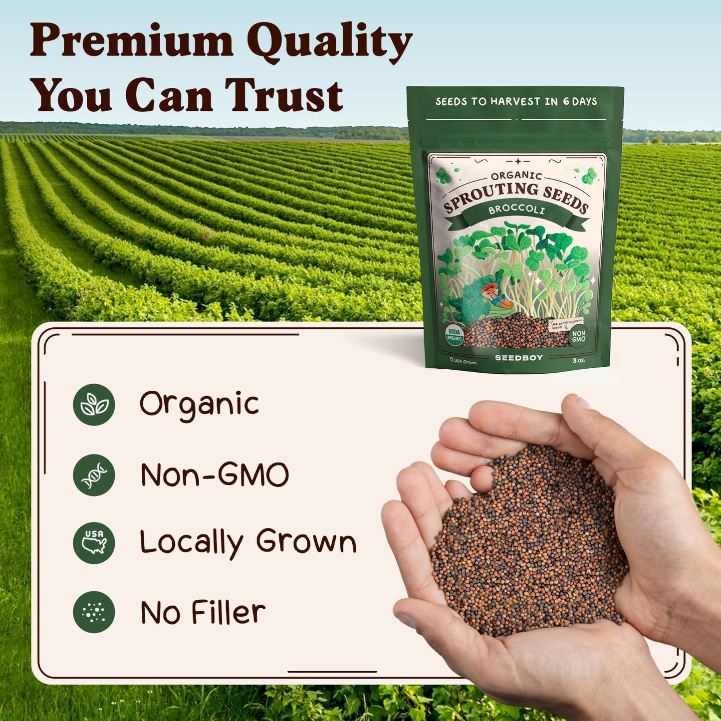 Broccoli Sprouting Seeds, Organic & Non-GMO – 8 oz Bag