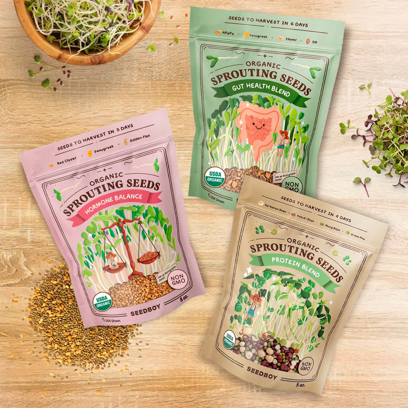 Hormone Support Stack - Hormone Balance, Protein & Gut Health Sprouting Seeds, Three 8 oz Bags
