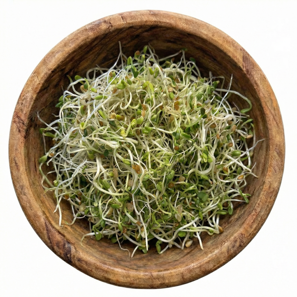Hormone Balance Blend Sprouting Seeds, Organic & Non-GMO - 8 oz Bag sprout mix