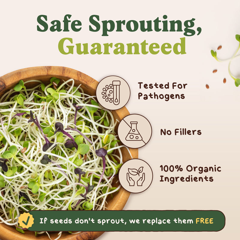 Immunity Blend Sprouting Seeds, Organic & Non-GMO - 8 oz Bag