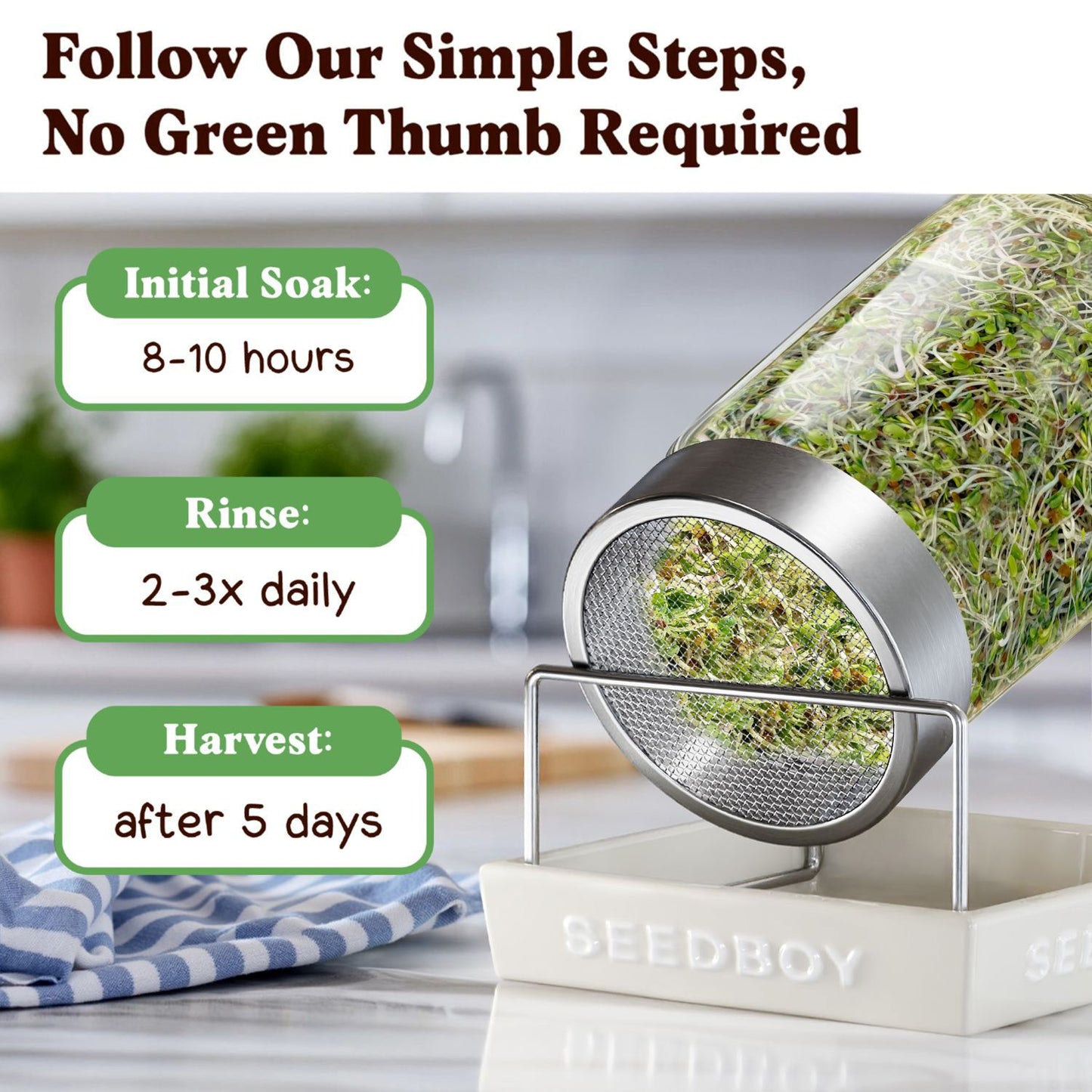 Immunity Blend Sprouting Seeds, Organic & Non-GMO – 8 oz Bag