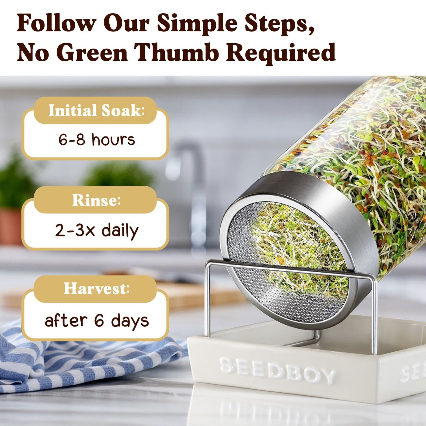 Longevity Blend Sprouting Seeds, Organic & Non-GMO – 8 oz Bag