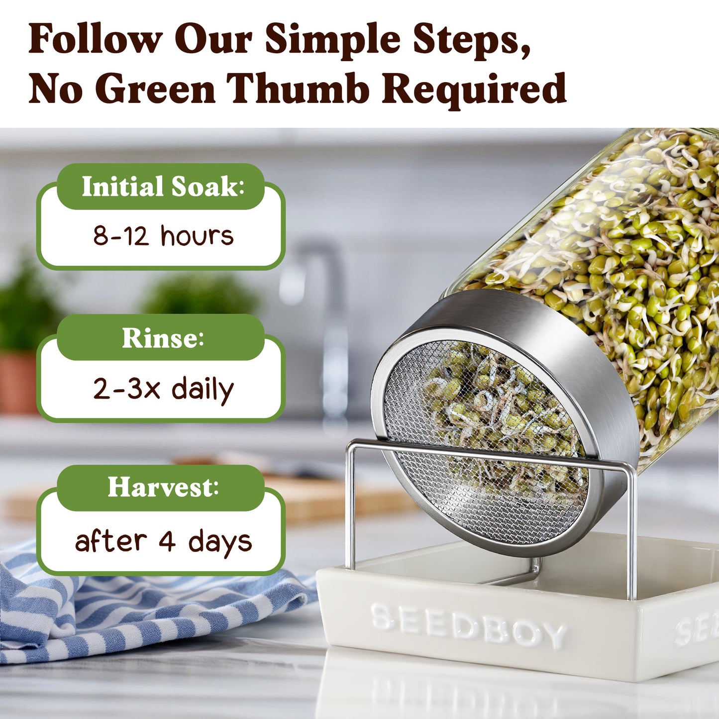 Mung Bean Sprouting Seeds, Organic & Non-GMO – 8 oz Bag