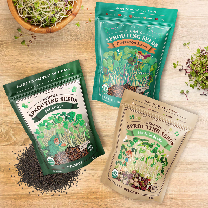 Performance Stack - Protein, Superfood & Broccoli Sprouting Seeds, Three 8 oz Bags
