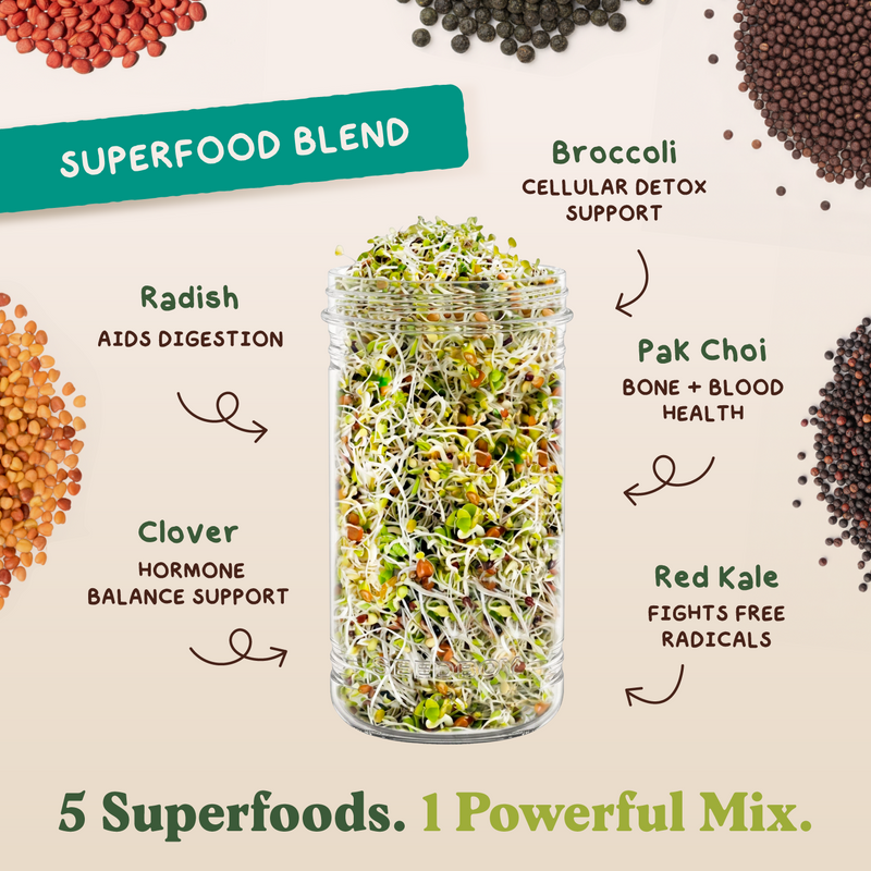 Full Sprout Bundle - Six Functional Blend Sprouting Seeds, Six 8 oz Bags