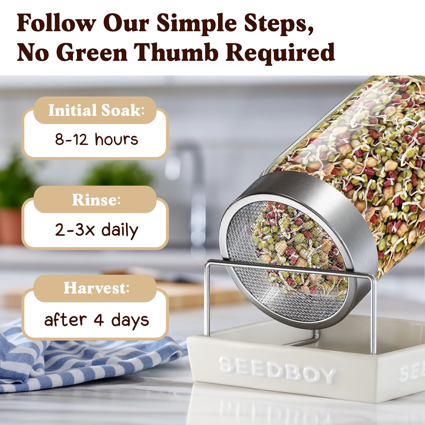 Protein Blend Sprouting Seeds, Organic & Non-GMO – 8 oz Bag