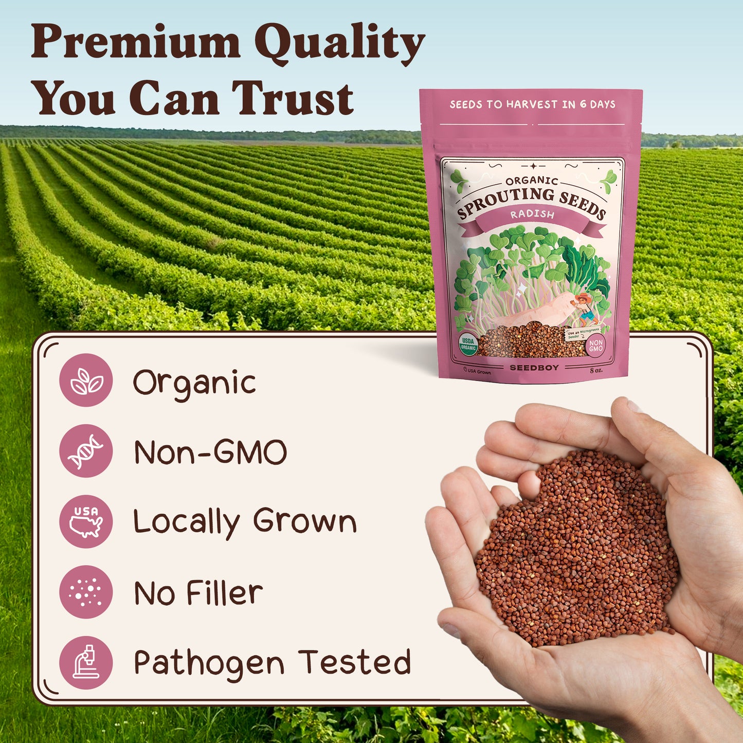 Graines de fenugrec à germer bio