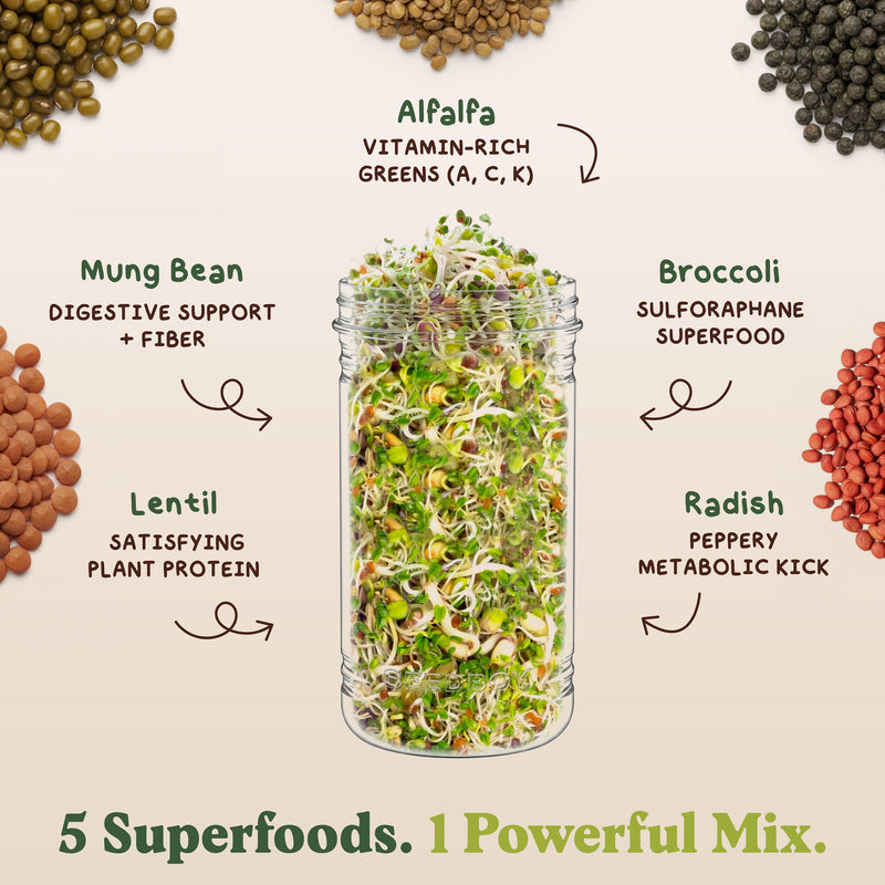 Fresh Salad Blend Sprouting Seeds, Organic & Non-GMO - 8 oz Bag