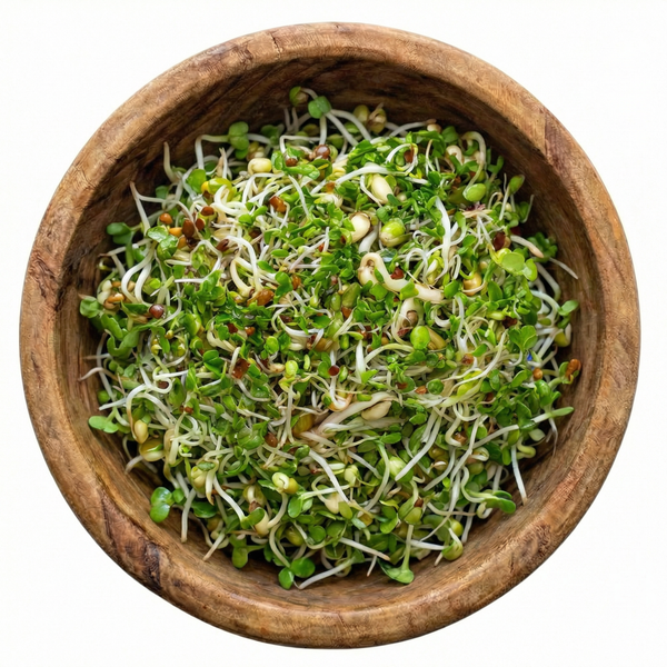 Fresh Salad Blend Sprouting Seeds, Organic & Non-GMO - 8 oz Bag sprout mix