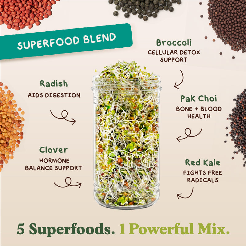 Strength Bundle - Superfood & Protein Sprouting Seeds, Two 8 oz Bags