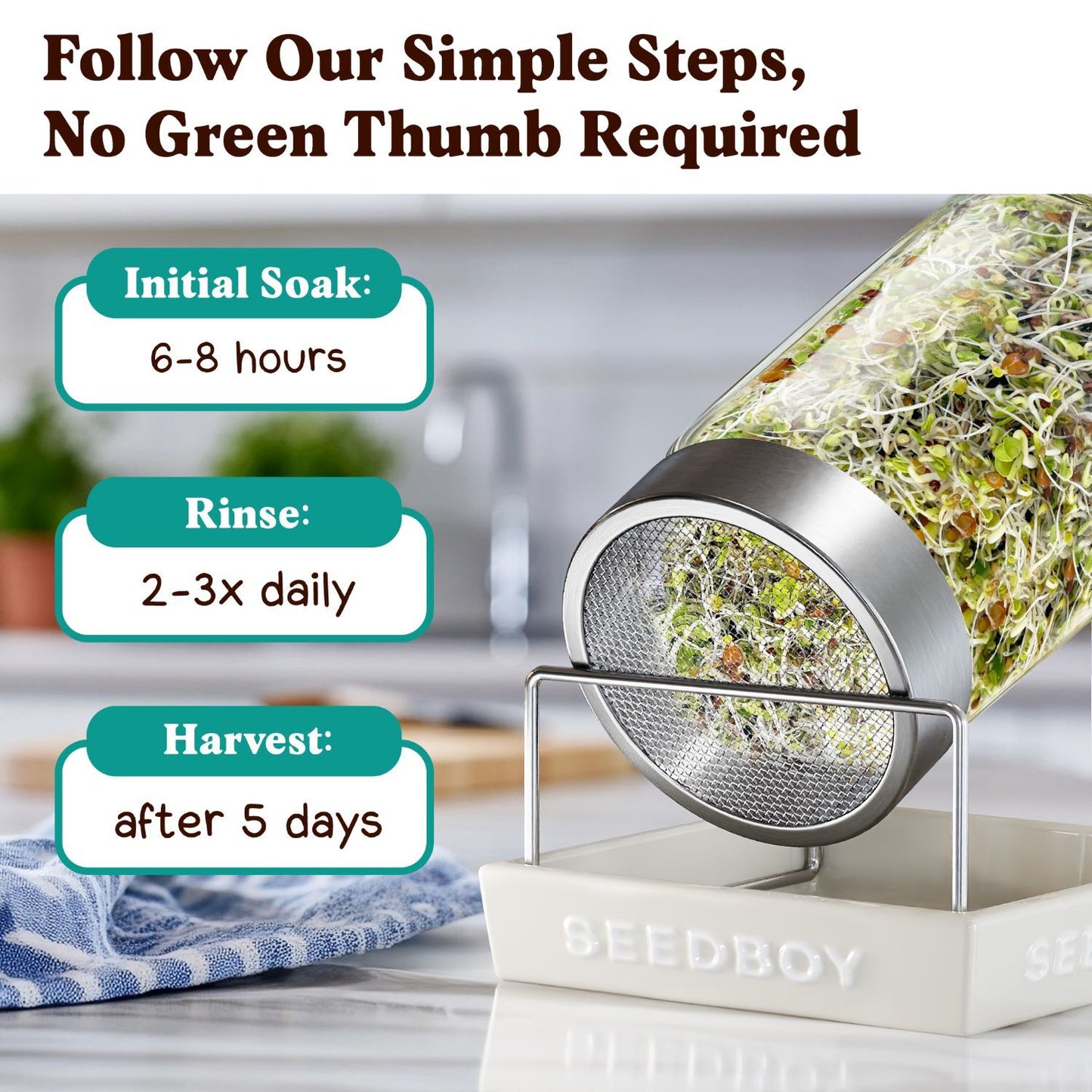 Superfood Blend Sprouting Seeds, Organic & Non-GMO – 8 oz Bag