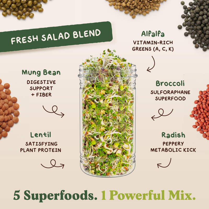 Full Sprout Bundle - Six Functional Blend Sprouting Seeds, Six 8 oz Bags