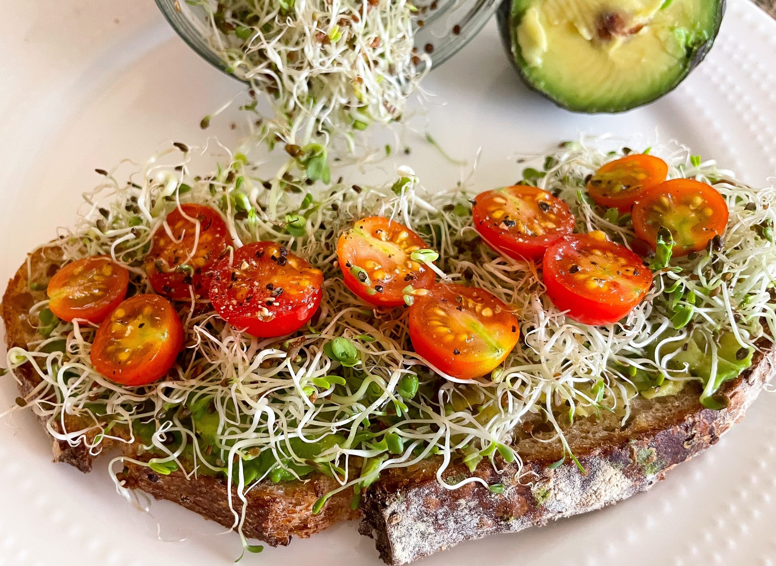 Creative Ways to Use Sprouts in Every Meal – Seedboy
