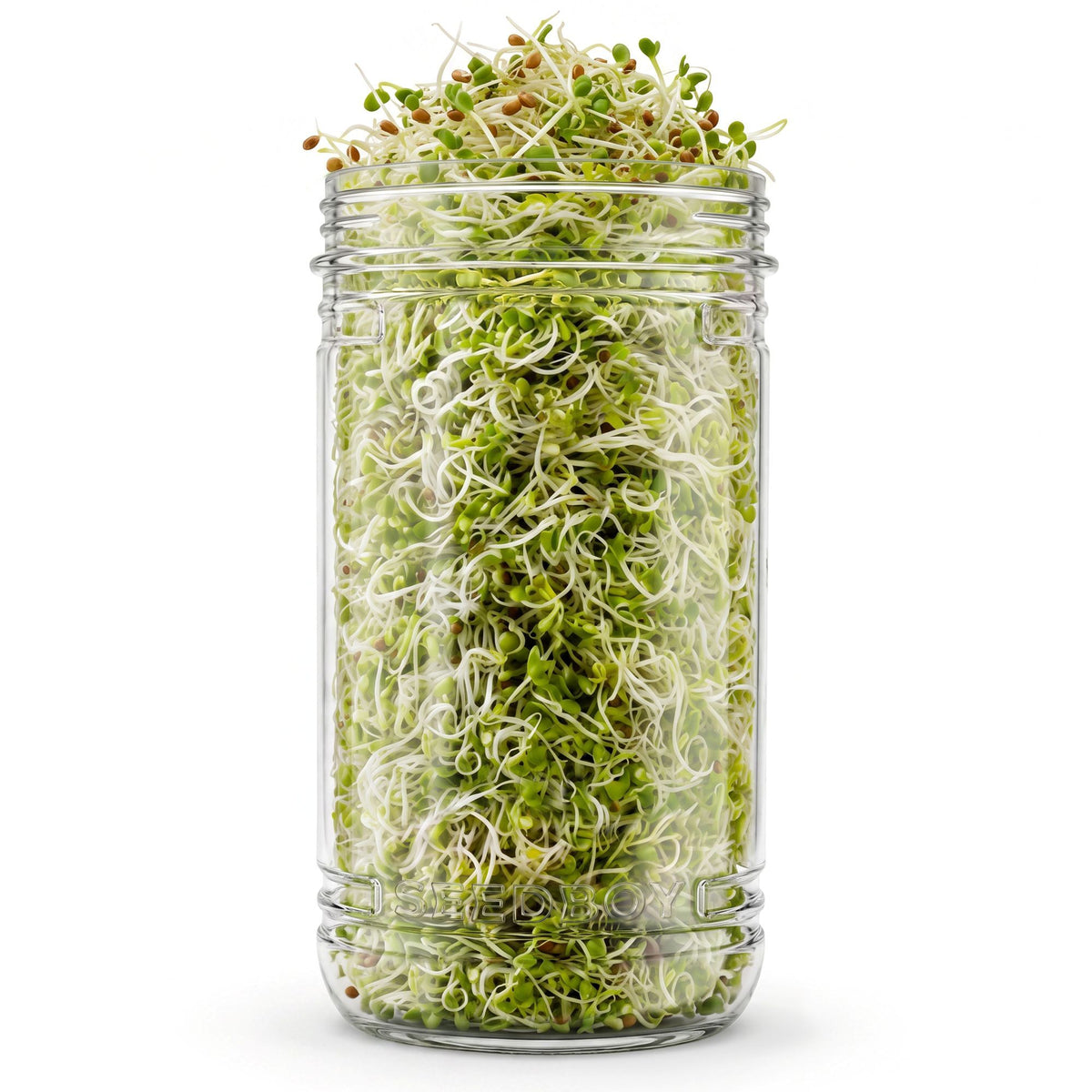 The Sprouting Kit
