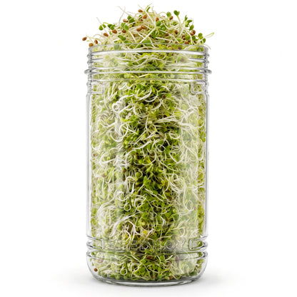 The Sprouting Kit