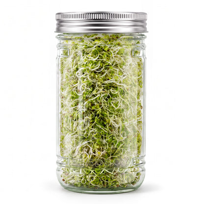 The Sprouting Kit