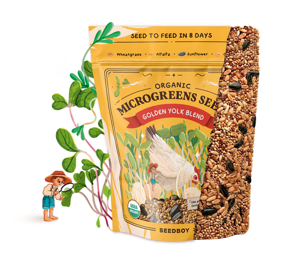 Golden Yolk Blend - Organic, Non-GMO Microgreens Seeds, 8 oz