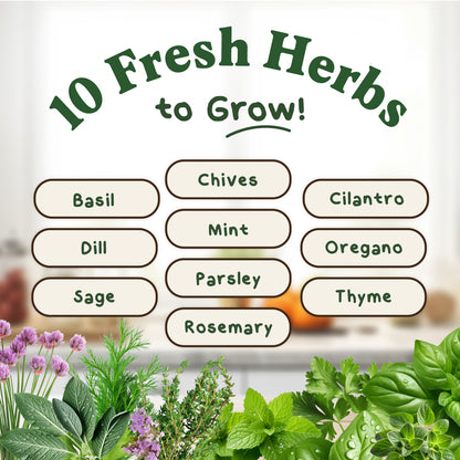 Ten Organic Non-GMO Herb Seed Variety Pack