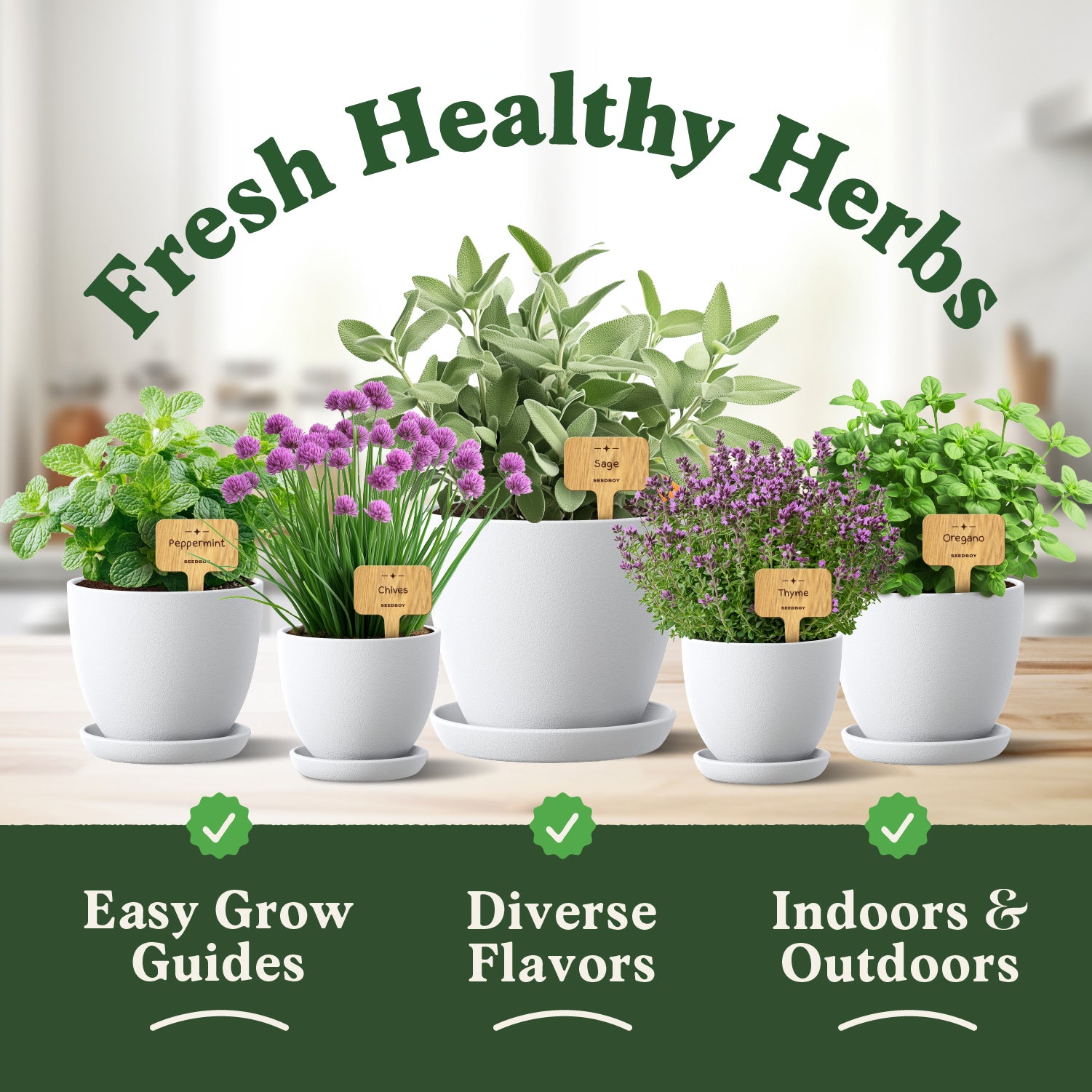 Seedboy Herb Garden Kit