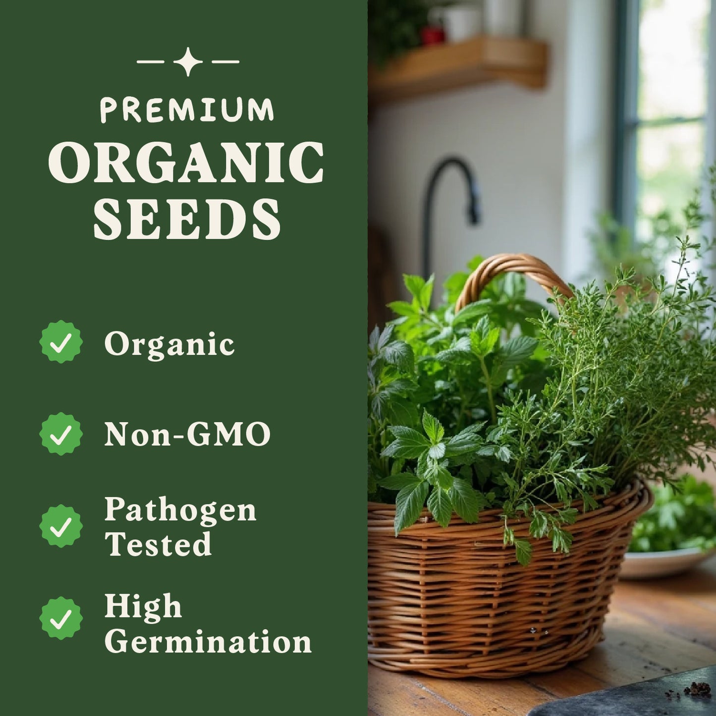Ten Organic Non-GMO Herb Seed Variety Pack