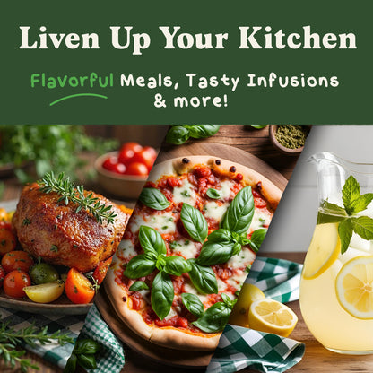 Ten Organic Non-GMO Herb Seed Variety Pack