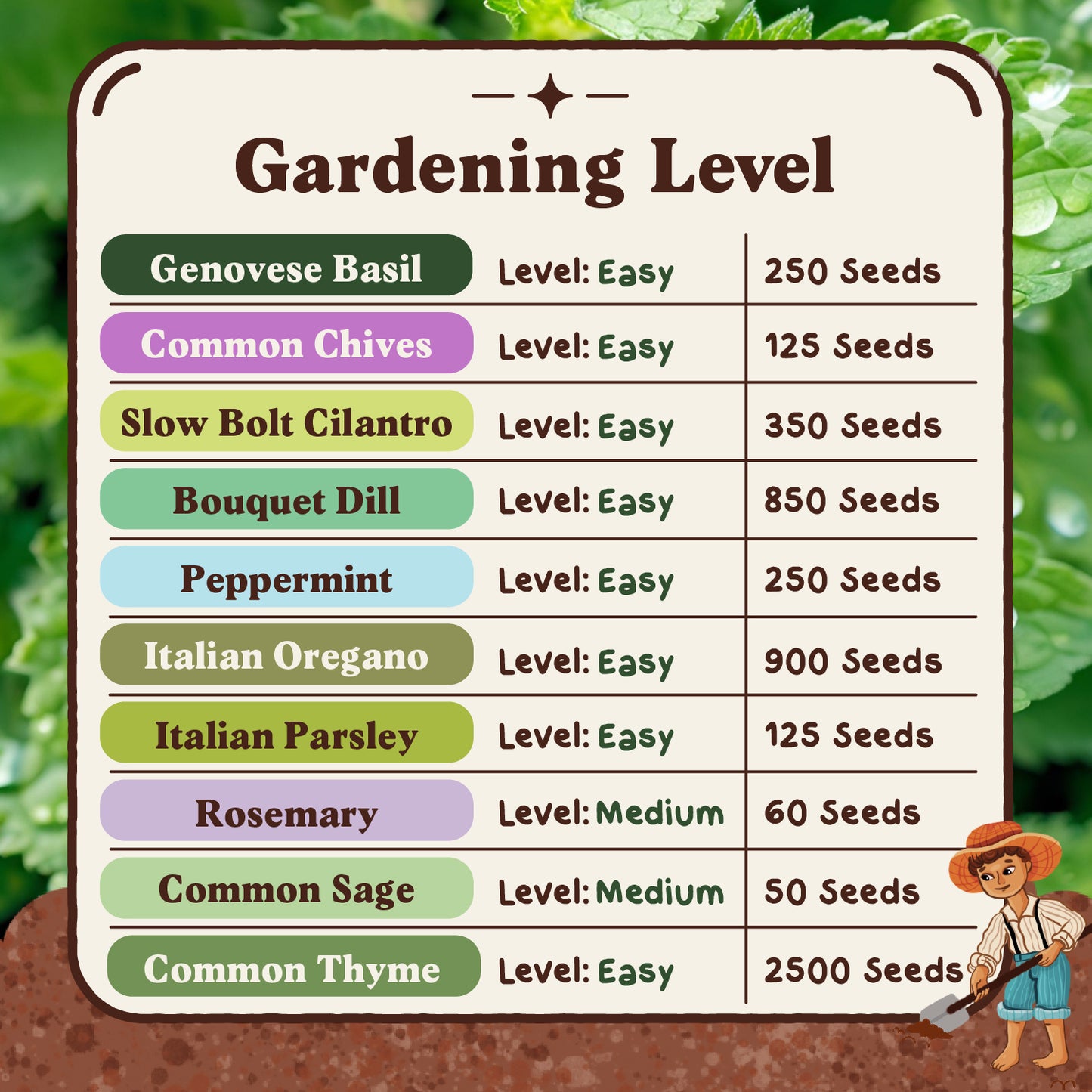 Ten Organic Non-GMO Herb Seed Variety Pack