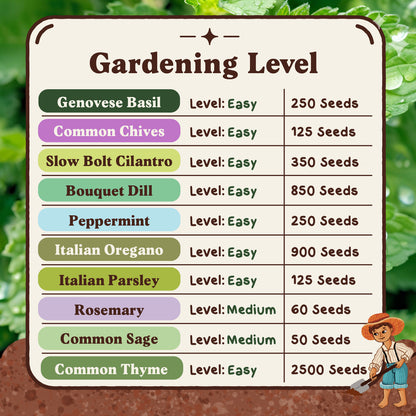 Ten Organic Non-GMO Herb Seed Variety Pack