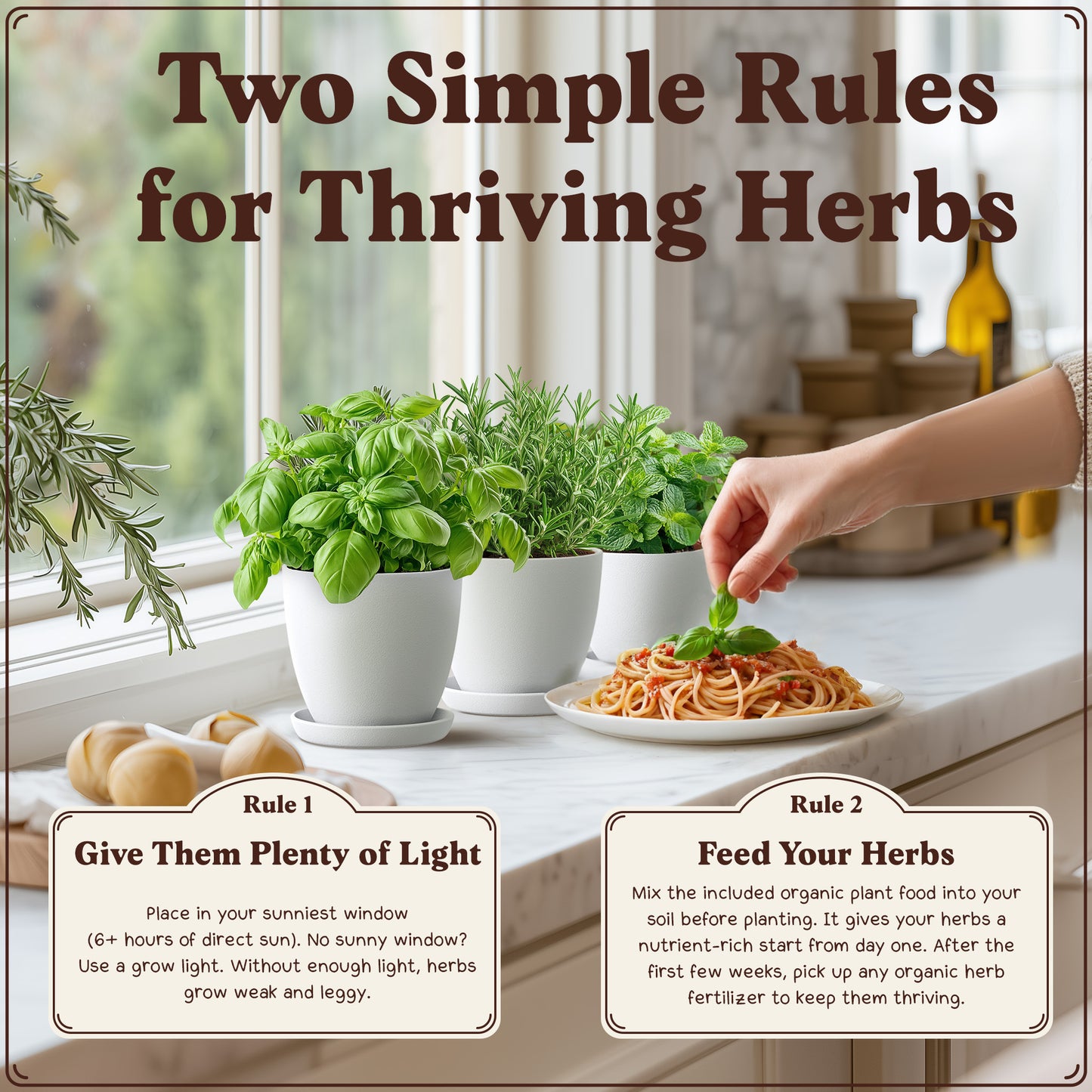 Premium 10-Herb Garden Kit, Organic Non GMO Seeds - All-in-One Indoor Herb Growing Set