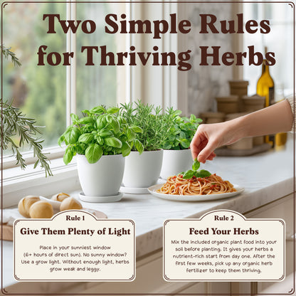 Premium 10-Herb Garden Kit, Organic Non GMO Seeds - All-in-One Indoor Herb Growing Set