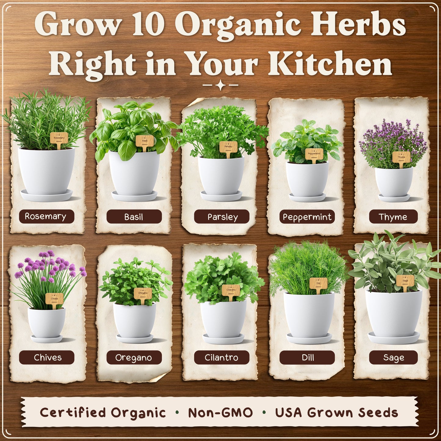 Premium 10-Herb Garden Kit, Organic Non GMO Seeds - All-in-One Indoor Herb Growing Set