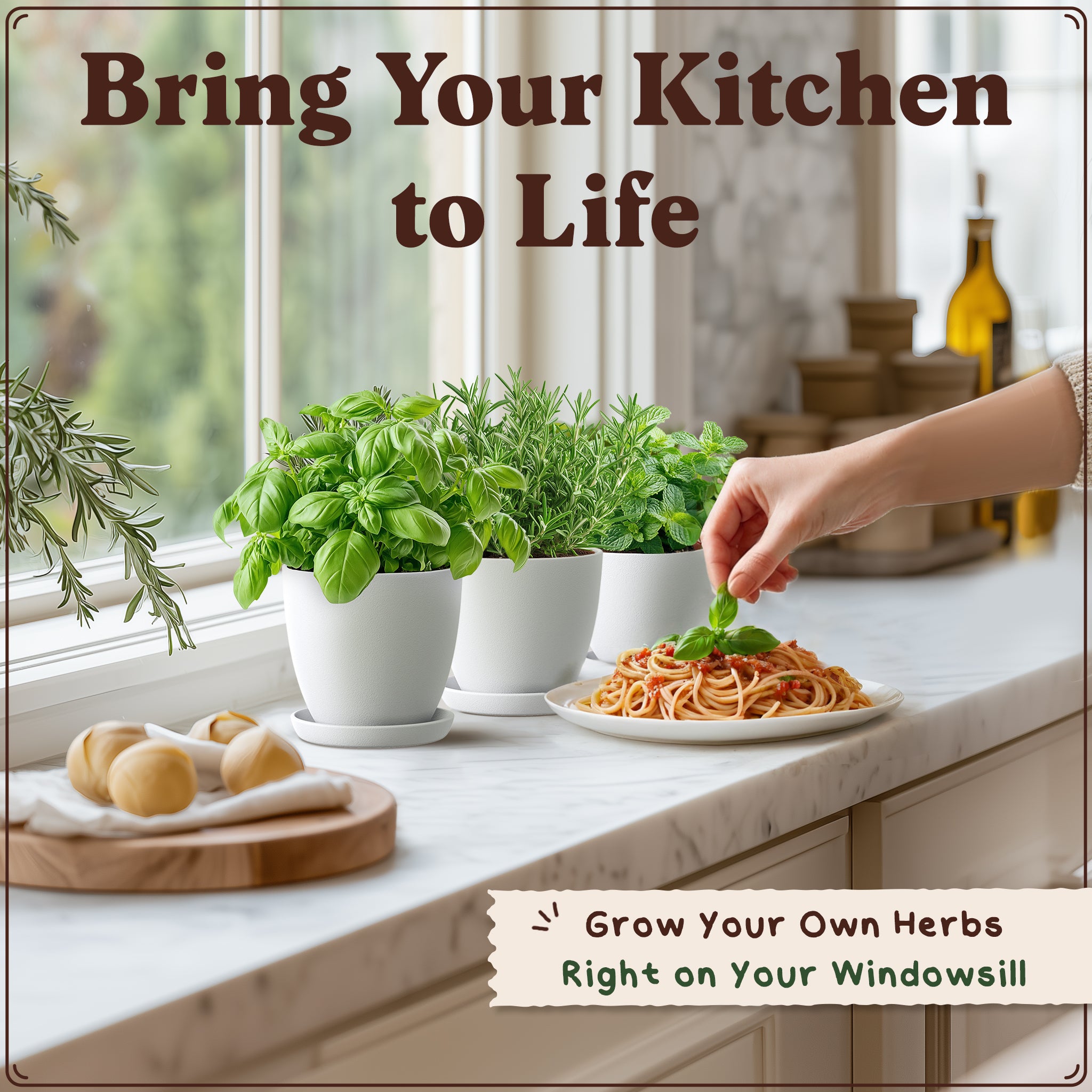 Premium 10-Herb Garden Kit, Organic Non GMO Seeds - All-in-One