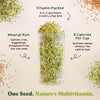 Alfalfa Sprouting Seeds, Organic & Non-GMO - 8 oz Bag