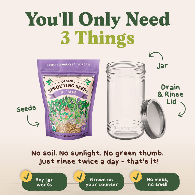 Alfalfa Sprouting Seeds, Organic & Non-GMO - 8 oz Bag