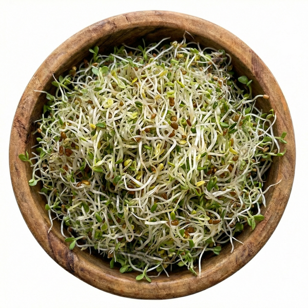 Alfalfa Sprouting Seeds, Organic & Non-GMO - 8 oz Bag
