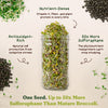 Broccoli Sprouting Seeds, Organic & Non-GMO - 8 oz Bag