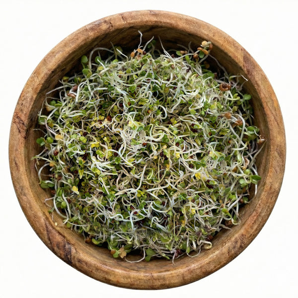 Broccoli Sprouting Seeds, Organic & Non-GMO - 8 oz Bag