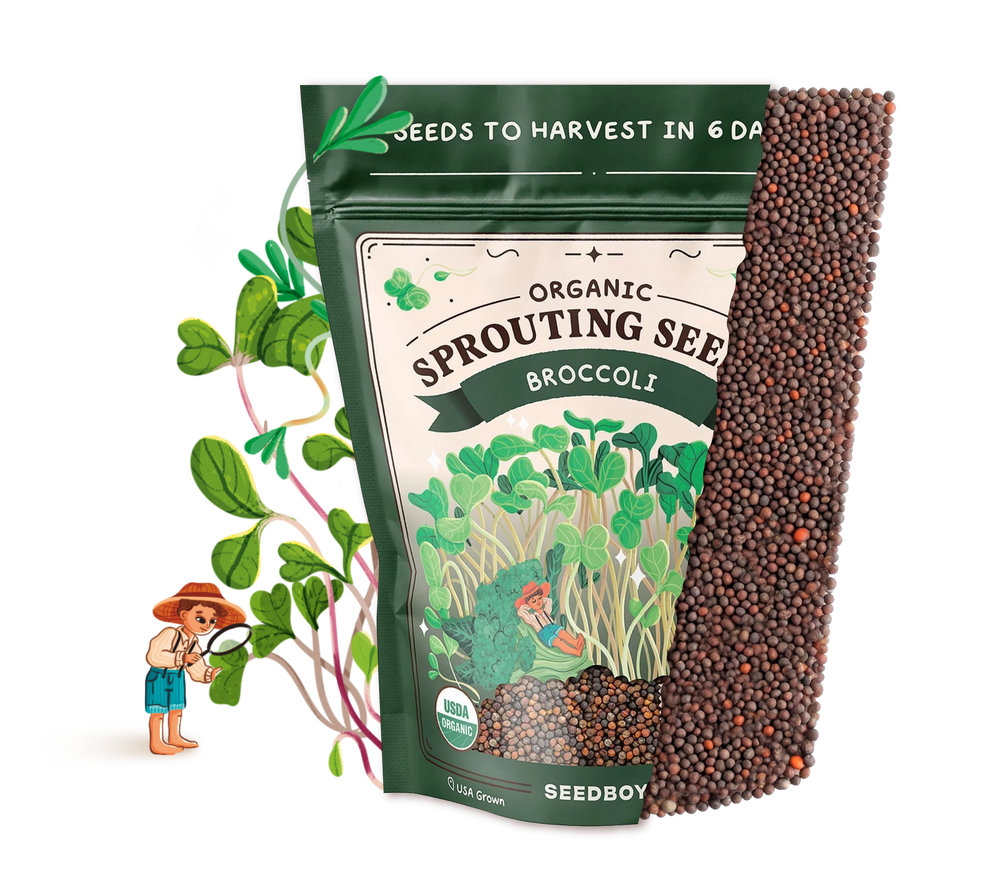 Broccoli Sprouting Seeds, Organic & Non-GMO - 8 oz Bag