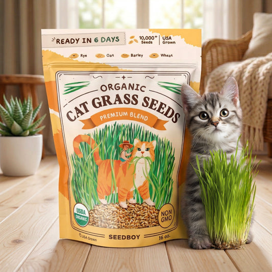 Organic Cat Grass Seeds