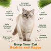Organic Cat Grass Seeds