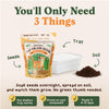 Organic Cat Grass Seeds
