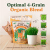 Organic Cat Grass Seeds