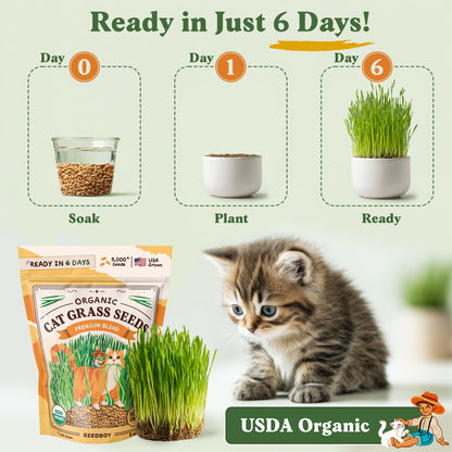 Organic Cat Grass Seed Packet – 8 oz Bag