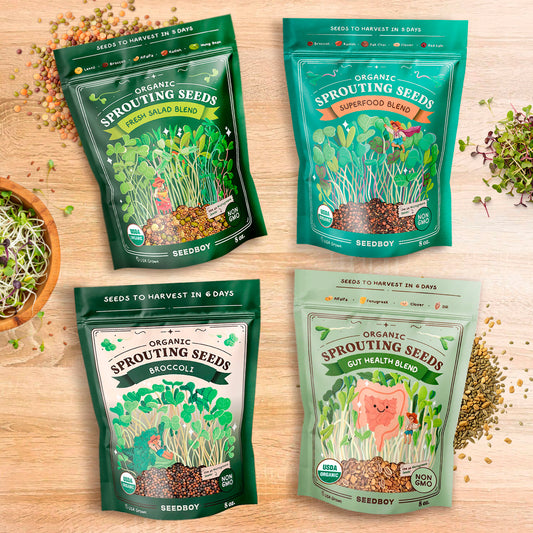 Essential Bundle - Salad, Superfood, Broccoli & Gut Health - Organic Sprouting Seeds, 4 × 8 oz Bag
