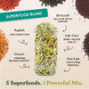 Essential Bundle - Salad, Superfood, Broccoli & Gut Health - Organic Sprouting Seeds, Four 8 oz Bag