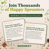 Essential Bundle - Salad, Superfood, Broccoli & Gut Health - Organic Sprouting Seeds, Four 8 oz Bag