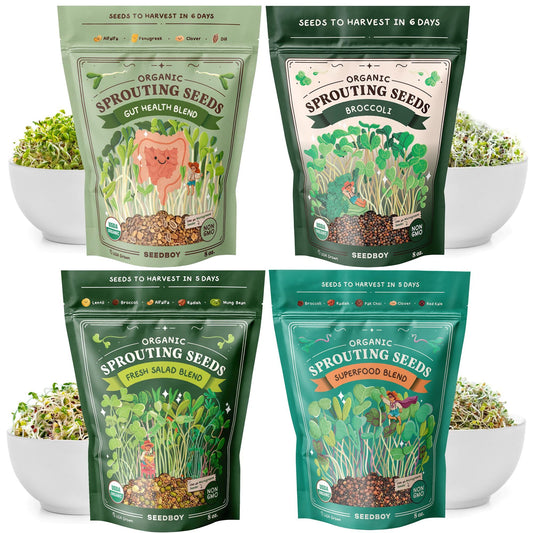 Essential Bundle - Salad, Superfood, Broccoli & Gut Health - Organic Sprouting Seeds, 4 × 8 oz Bag
