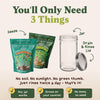 Everyday Bundle - Salad & Superfood Sprouting Seeds, Two 8 oz Bags
