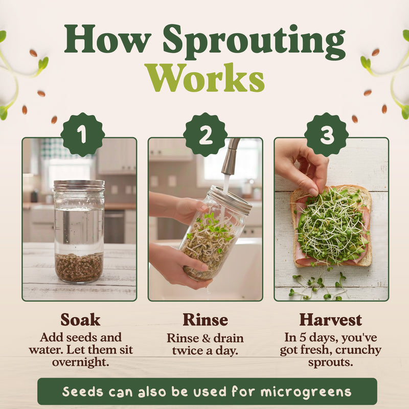Everyday Bundle - Salad & Superfood Sprouting Seeds, Two 8 oz Bags