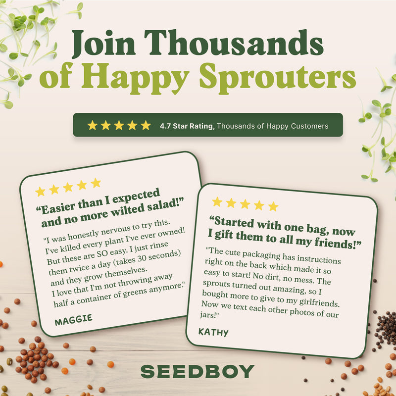 Everyday Bundle - Salad & Superfood Sprouting Seeds, Two 8 oz Bags